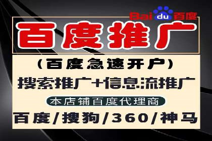 推广竞价策略优化：借鉴经典案例提升效果